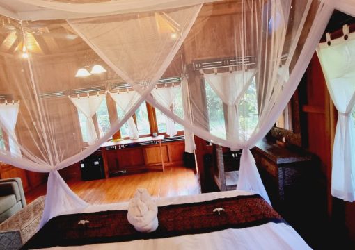 Suite Garden Chief Bungalow