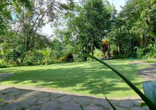Family Suite Garden Bungalow