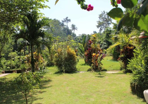 Family Suite Garden Bungalow